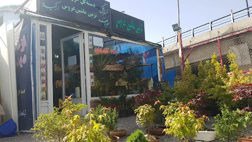 نمایشگاه گل و گیاه پیش قدم