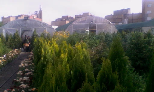 نمایشگاه گل و گیاه پیش قدم - گل‌فروشی و گیاهان زینتی در تبریز