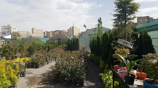 نمایشگاه گل و گیاه پیش قدم - گل‌فروشی و گیاهان زینتی در تبریز