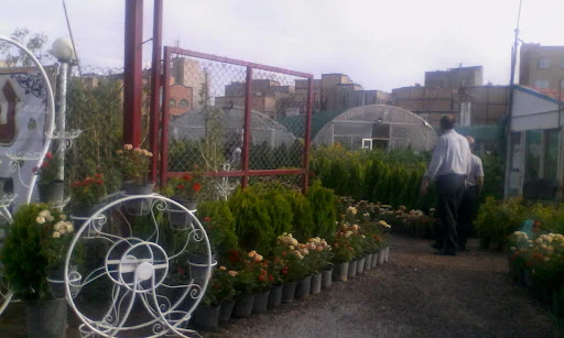 نمایشگاه گل و گیاه پیش قدم - گل‌فروشی و گیاهان زینتی در تبریز