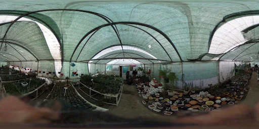 نمایشگاه گل و گیاه پیش قدم - گل‌فروشی و گیاهان زینتی در تبریز