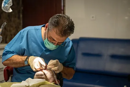 دندانپزشکی دکتر کیهان کندری