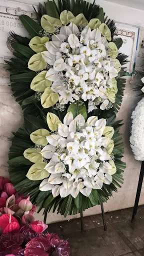 گل فروشی سفیر سبز - تصویر 6
