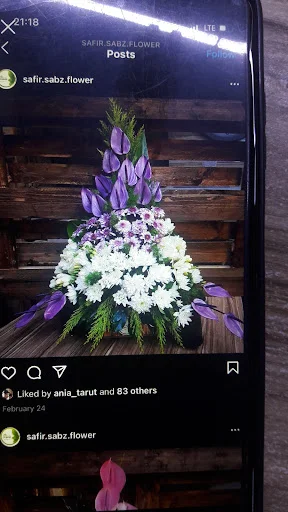 گل فروشی سفیر سبز - گل‌فروشی و گیاهان زینتی در تبریز