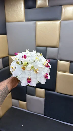 گل فروشی سفیر سبز - گل‌فروشی و گیاهان زینتی در تبریز