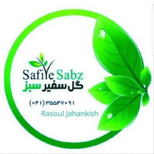 گل فروشی سفیر سبز - گل‌فروشی و گیاهان زینتی در تبریز