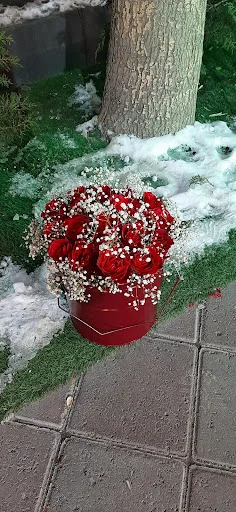 گلفروشی لوکس