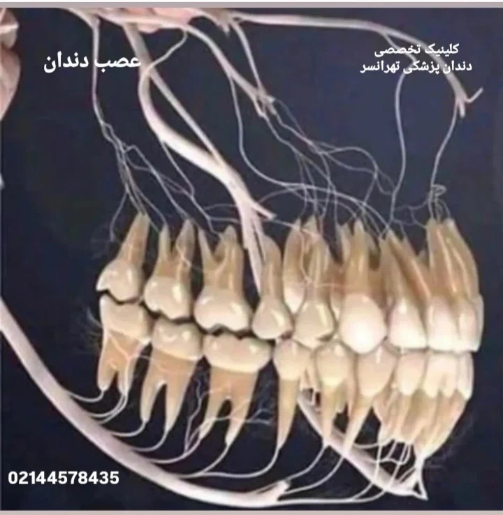 کلینیک دندانپزشکی صدف تهرانسر - تصویر 7
