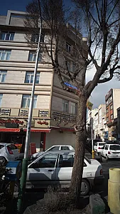 بیو فید بک درمان غیر جراحی بی اختیاری ادرار