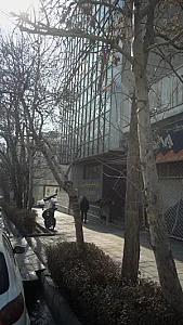 مرکز جراحی شیخ بهائی