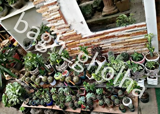 گلخانه باغ گلها