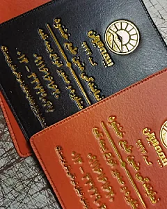 آرین جلد