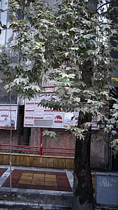 انستیوتو روانکاری تهران