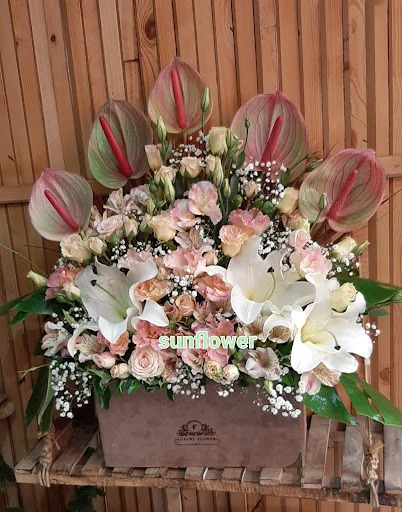 گلفروشی سان