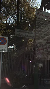 الکتروسنالوگرافی اکوکاردو گرافی رنگی قلب