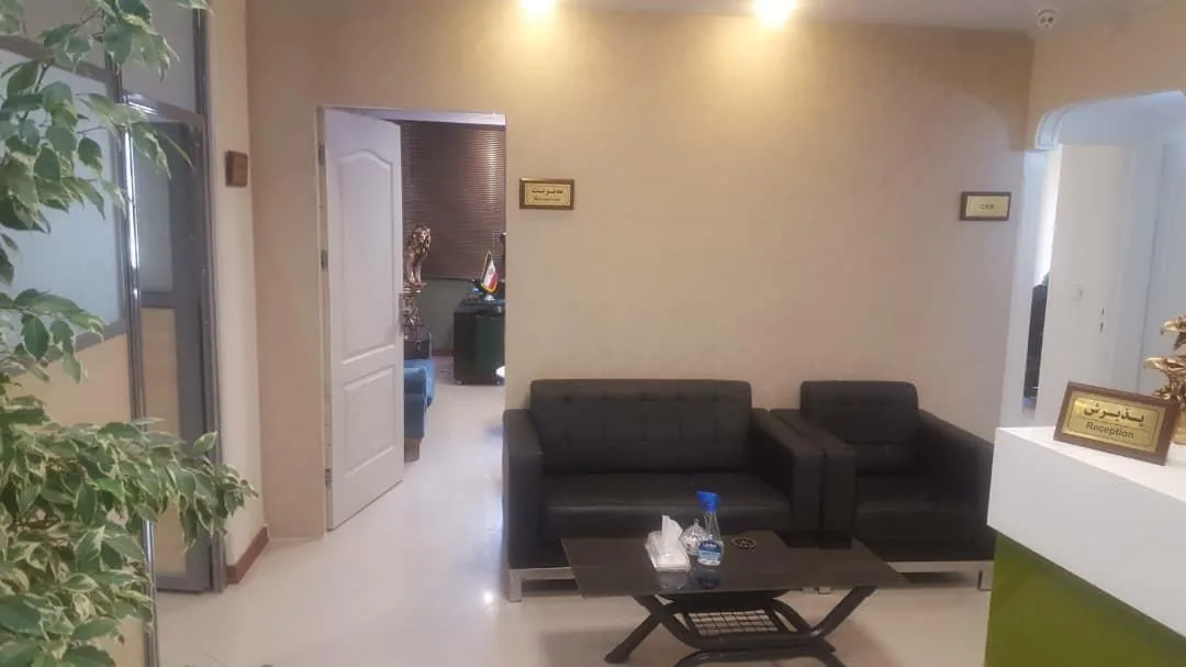 کاشت موی نماد زیبایی - تصویر 2