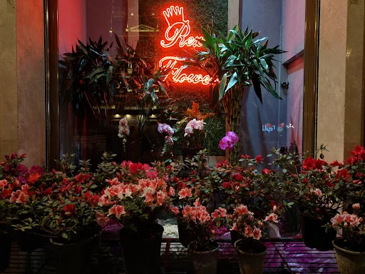 گل رکس - گل‌فروشی و گیاهان زینتی در تبریز