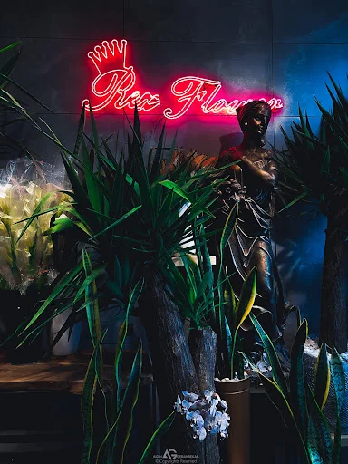 گل رکس - گل‌فروشی و گیاهان زینتی در تبریز