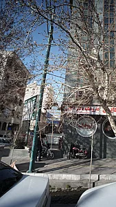 کلینیک درد دکتر مسعود هاشمی