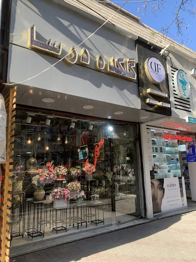 گلکده درسا