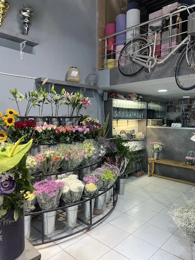 گلکده درسا - گل‌فروشی و گیاهان زینتی در تبریز