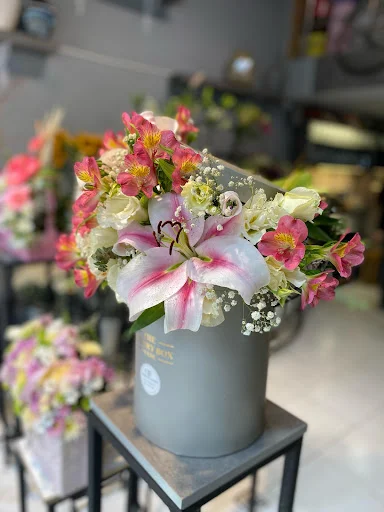 گلکده درسا - گل‌فروشی و گیاهان زینتی در تبریز