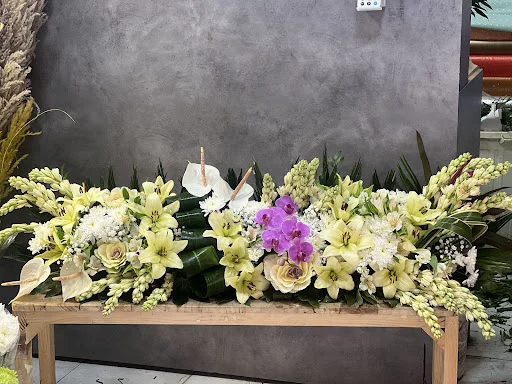 گلکده درسا - گل‌فروشی و گیاهان زینتی در تبریز