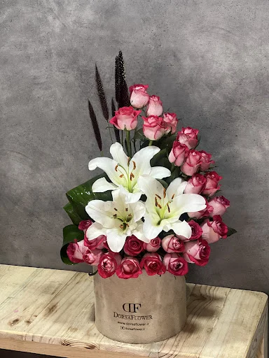 گلکده درسا - گل‌فروشی و گیاهان زینتی در تبریز