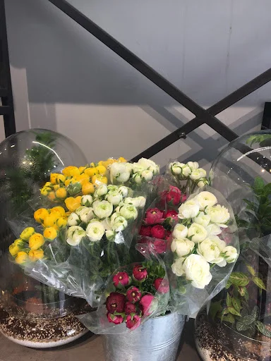 گلکده درسا - گل‌فروشی و گیاهان زینتی در تبریز