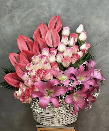 گلکده درسا - گل‌فروشی و گیاهان زینتی در تبریز