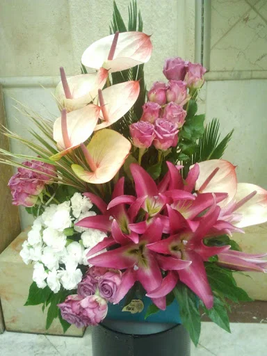 گل فروشی آرکس