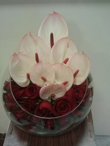 گل فروشی آرکس