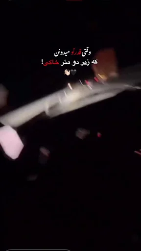 مزون رز سفید - تصویر 2