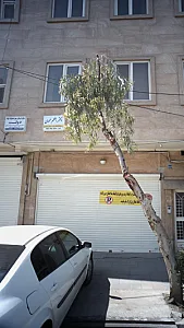 مرکز درمان سوء مصرف مواد دولت
