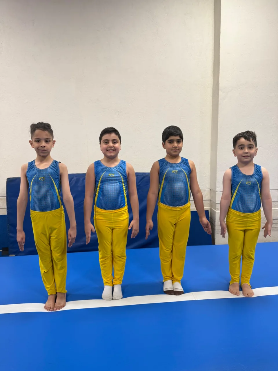 مدرسه ژیمناستیک ماهانا - تصویر 2