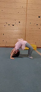 آکادمی ژیمناستیک مهتاب