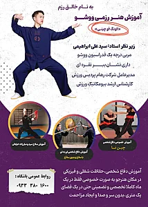 آموزش خصوصی ووشو و دفاع شخصی
