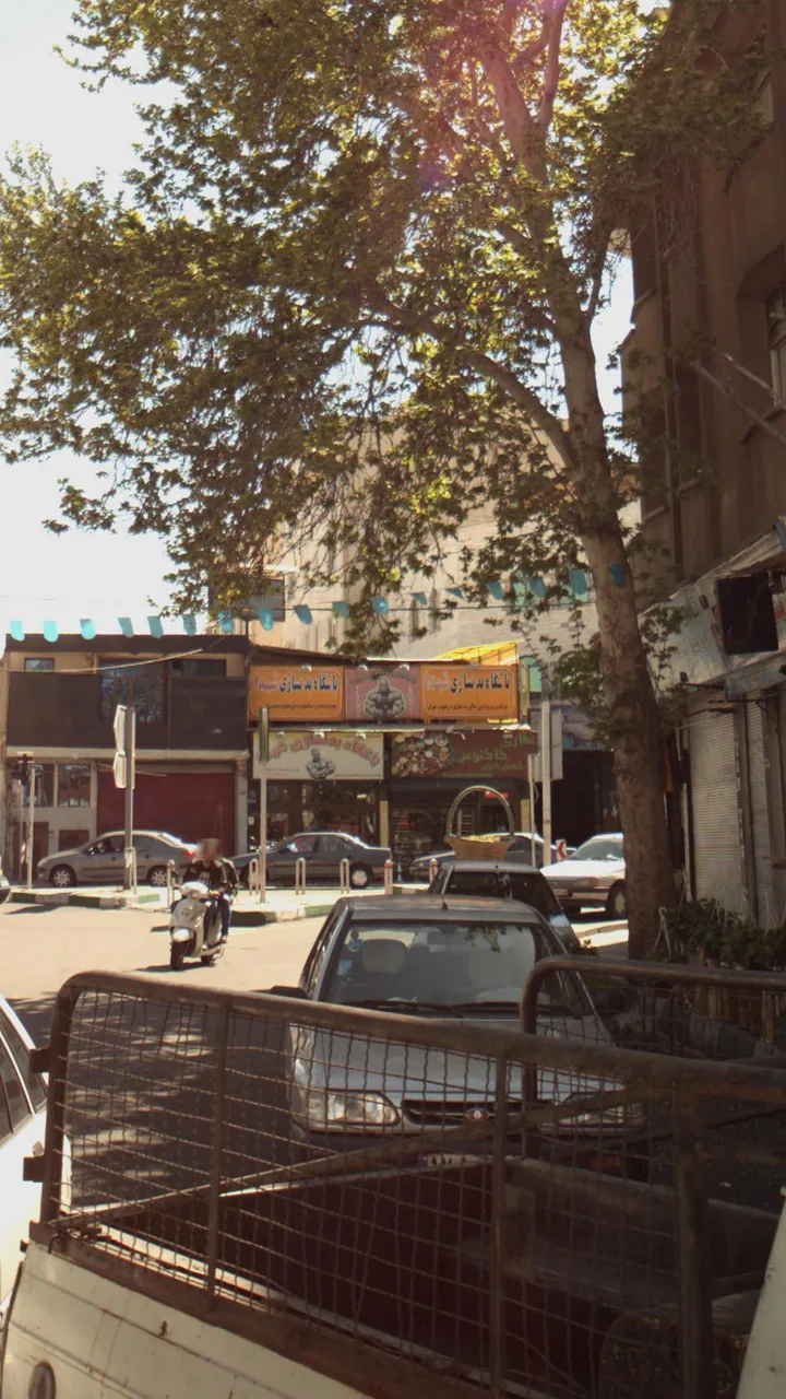 باشگاه بدنسازی شهدا - تصویر 3