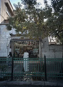 بیلیارد اسنوکر