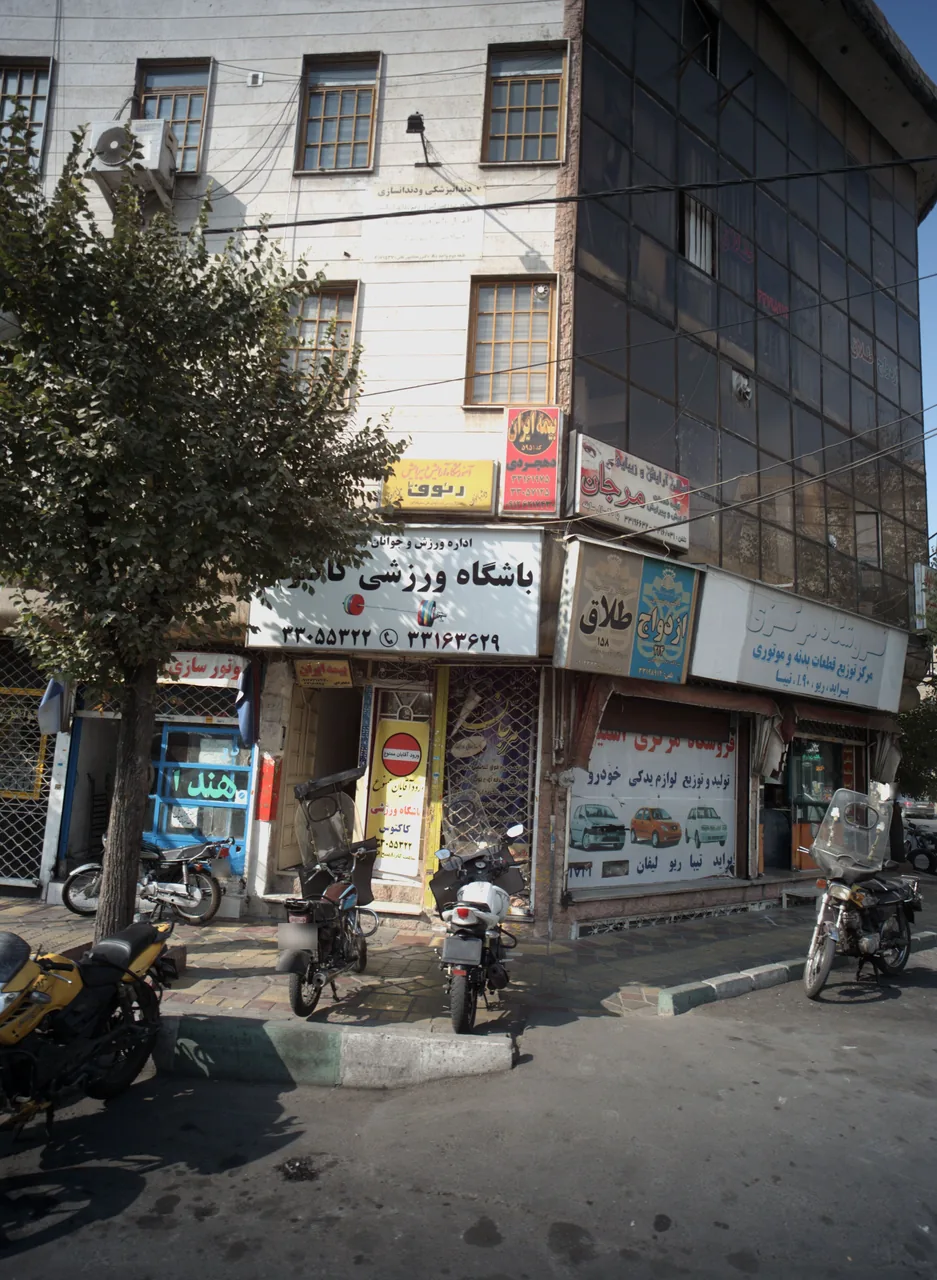 باشگاه ورزشی کاکتوس