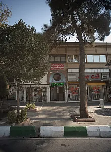 باشگاه ورزش دلفین سفید