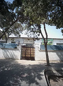 باشگاه ورزشی شهید مسعود محمدی