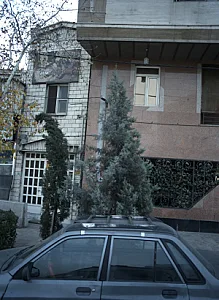 باشگاه بدنسازی محمد