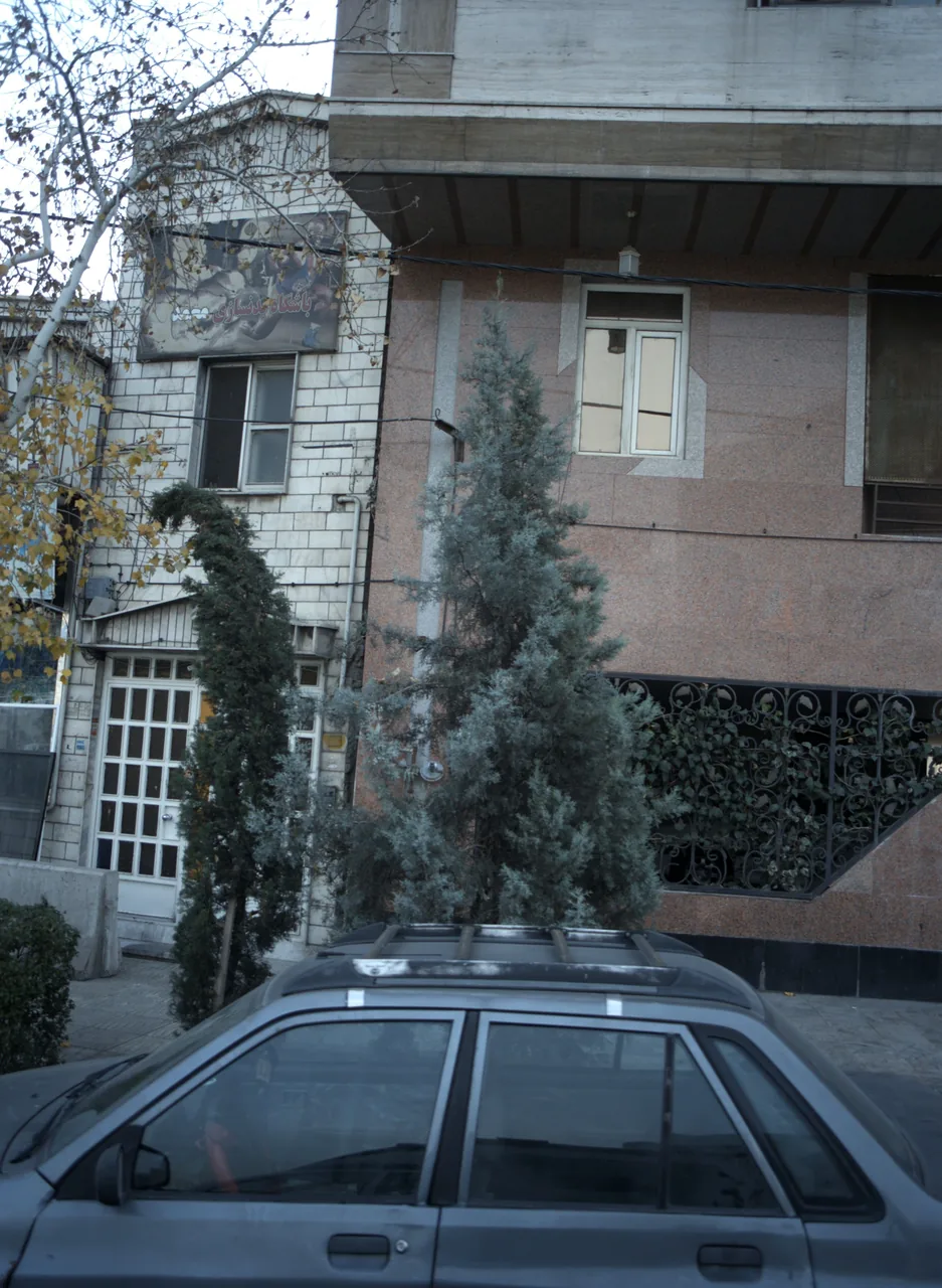 باشگاه بدنسازی محمد