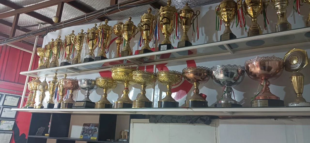 باشگاه اسکیت ستارگان - تصویر 4