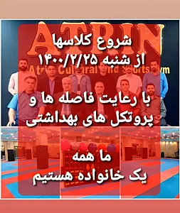 باشگاه فرهنگی ورزشی آترین
