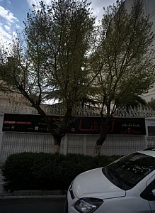 باشگاه ورزشی آروشا