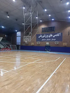 باشگاه ورزشی ایرانا