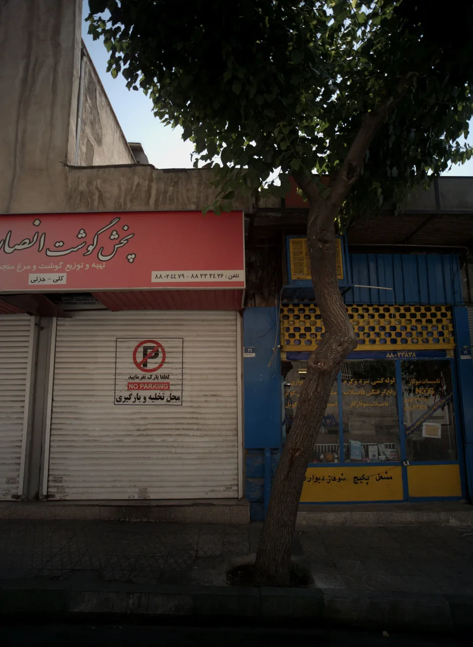 تاسیسات نیوگاز