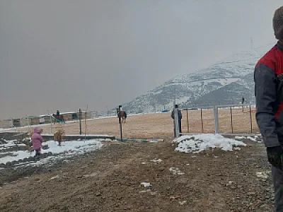 باشگاه سوارکاری دیپلمات